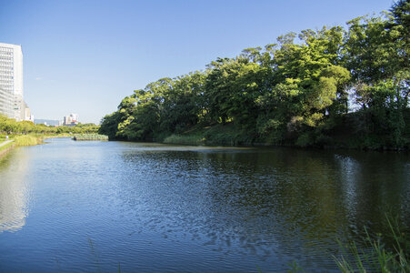 12 Ohori Park