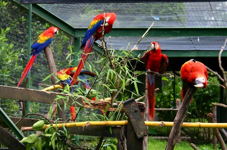 Zoo colorful bright photo
