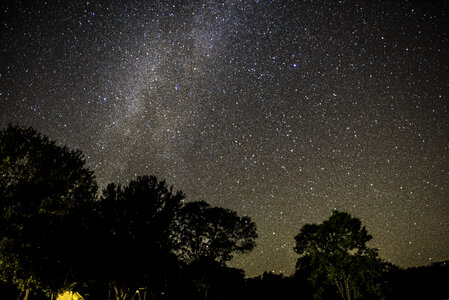 Stars and Milky Way above the trees at Blackhawk lake Recreation Area, Wisconsin photo
