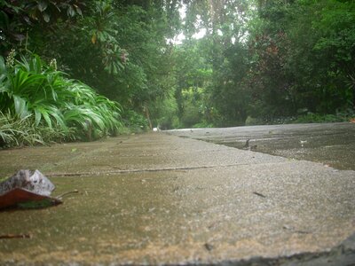 Long distance kandy sri lanka photo