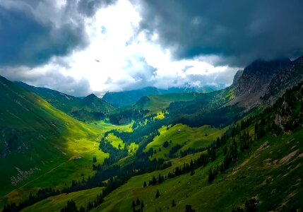 Forest grass high land photo