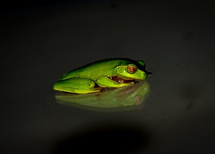 Small reflection night