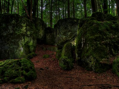 Bemoost watercourse nature