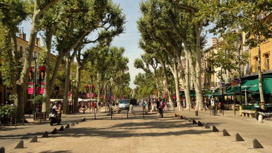 Plantains france aix-en-provence photo