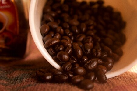 Caffeine roasted seed