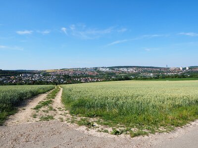 Landscape vision outlook