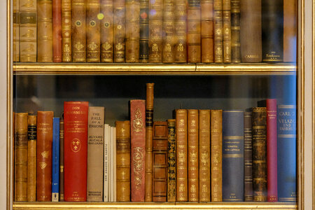 Elegant Bookshelves in the Royal Library photo