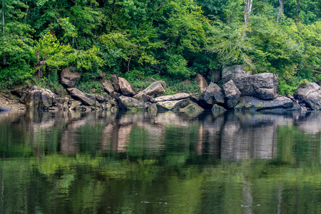 Scenic view of the Cumberland River Tailwater-1