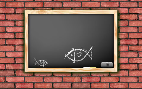 Drawing of fish on blackboard