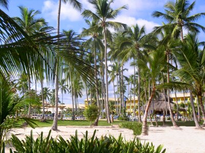 Vacations warm dream holiday