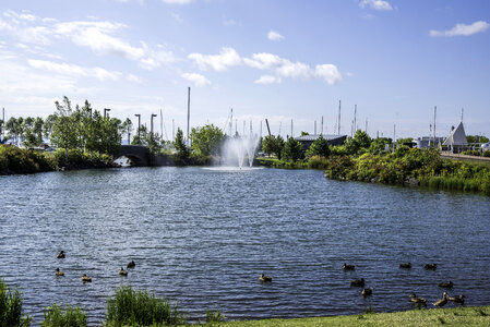 Landscape of the Water Garden in Thunder Bay Ontario, Canada