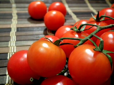 The tomatoes on the branch use vegetarianism photo