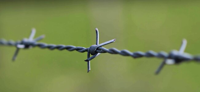 Barbed Wire fence iron photo