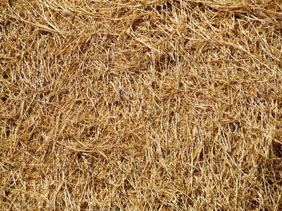 Farm texture textured