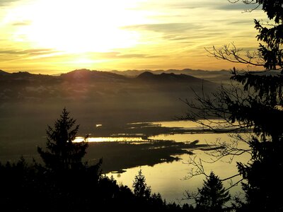 Tree mountains forest photo