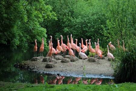 Parking zoo nature