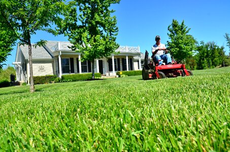 Grass cutting lawn mowing green care photo