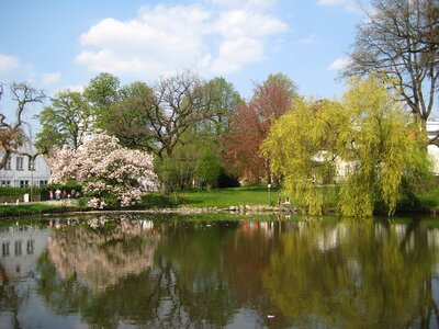 Pond reflections building