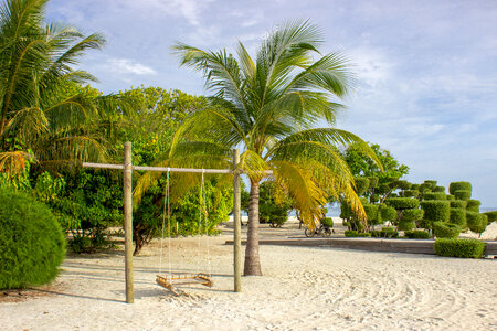 Wood Crafted Swing Placed on the Beach in Maldives photo