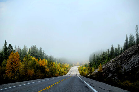 Foggy Roadway with trees on the side in Jasper National Park, Alberta, Canada photo