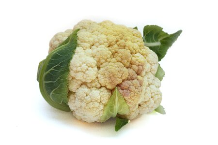 Tasty vegetable one
