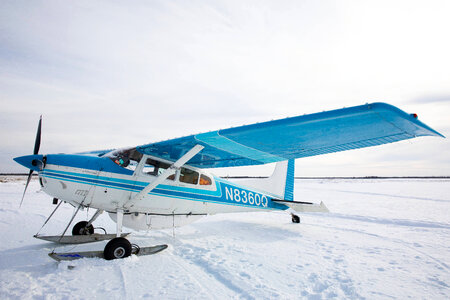 Bush plane used to transport workers to the study site photo