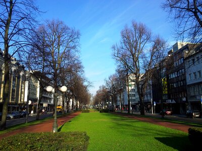 Buildings trees sky