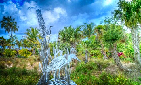 Bird green palm trees