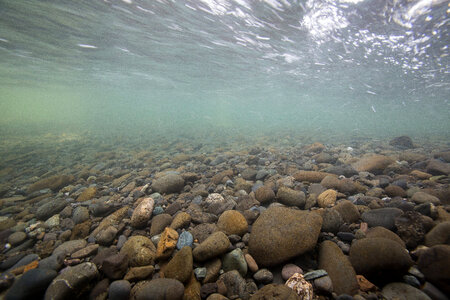 Gravel stream bottom on Ship Creek