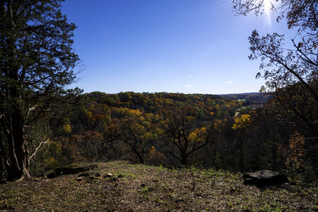 Morton County Forest Overlook in Wisconsin photo