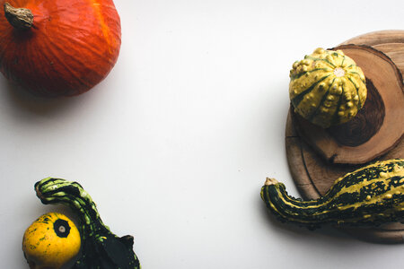 Decorative pumpkins photo