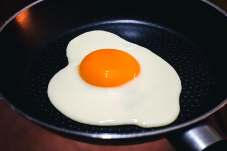 Picture perfect sunny side up egg photo