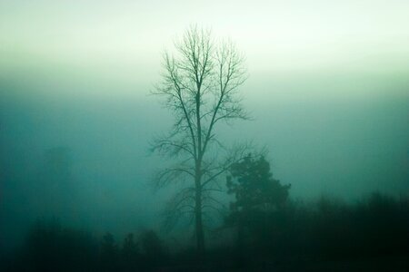 Nature fog haze