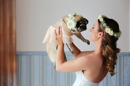 Bride holding dog photo