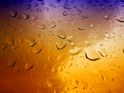 Drops photo