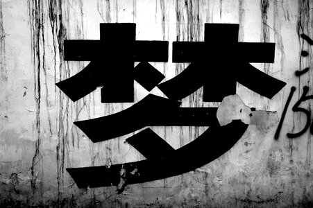 Dream black and white words