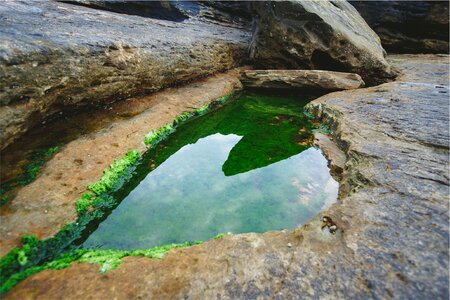 Rocks water moss