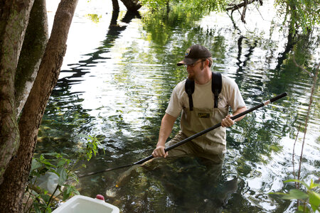 Biologists search for Fountain Darter-2