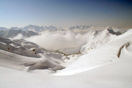 Snow alpine white photo