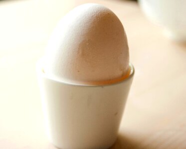 Cup diet egg