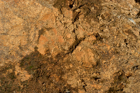 Dirt and Rock Texture Free Photo