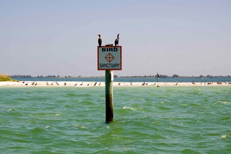 Bird sanctuary shield