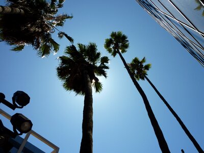 Los angeles hollywood usa photo