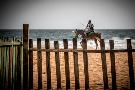 Man riding a horse on the beach by the ocean
