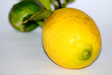 Fruit fresh vitamin c photo