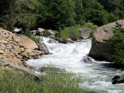 Rushing Water and Stream in California