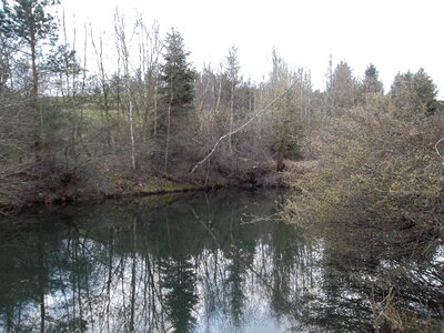 Reflections in forlom pond behind Goslar photo