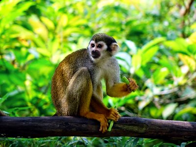 Feeding zoo nature