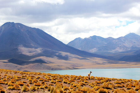 Landscape of mountains, clouds, desert, and lake in Chile