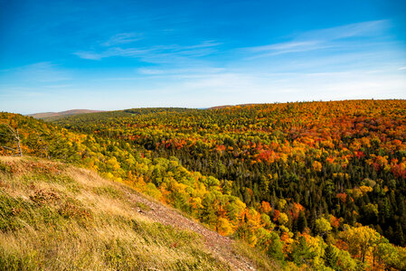 Valley landscape and autumn forest at Copper Harbor